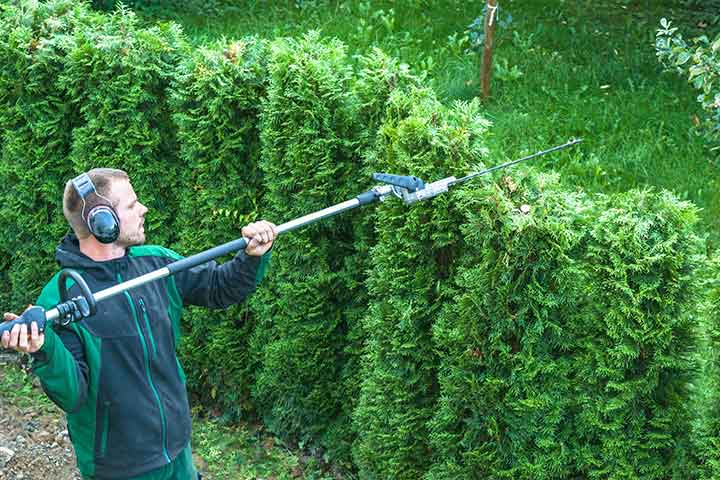 Réalisation jardin
