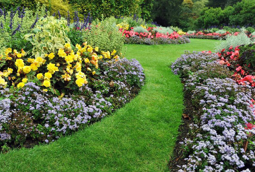 Réalisation jardin