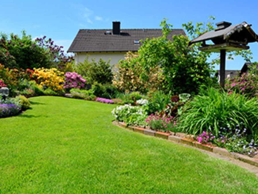 Réalisation jardin